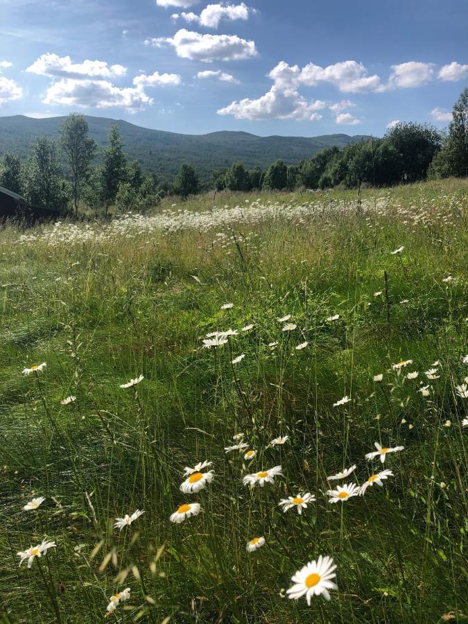 Taenndalens Stugby Villa Bagian luar foto