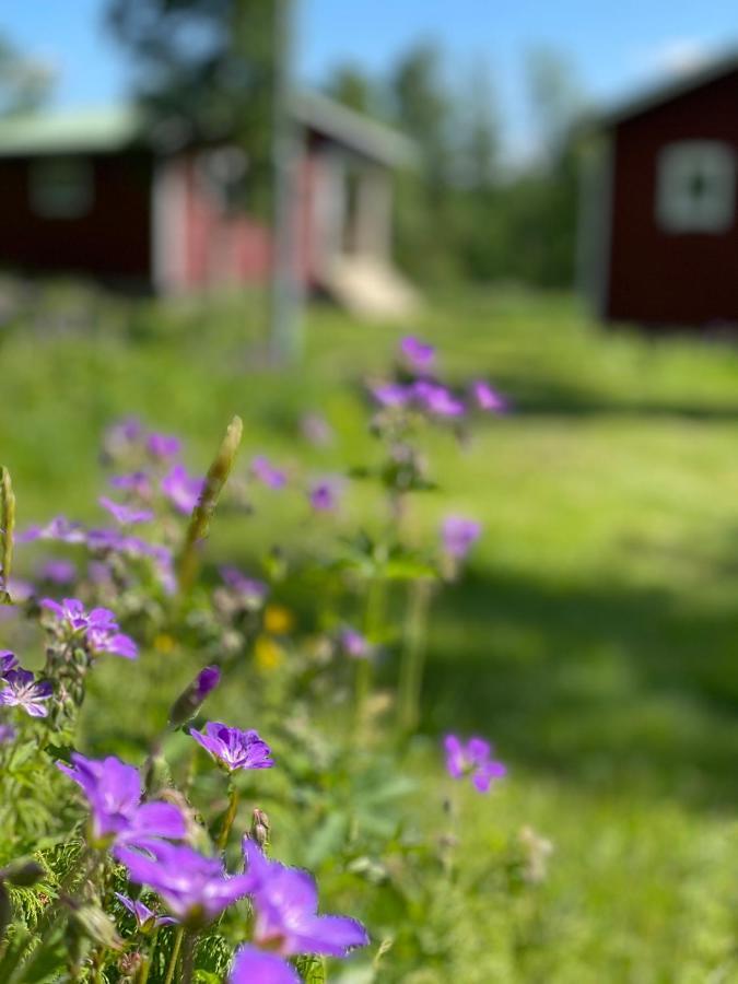 Taenndalens Stugby Villa Bagian luar foto
