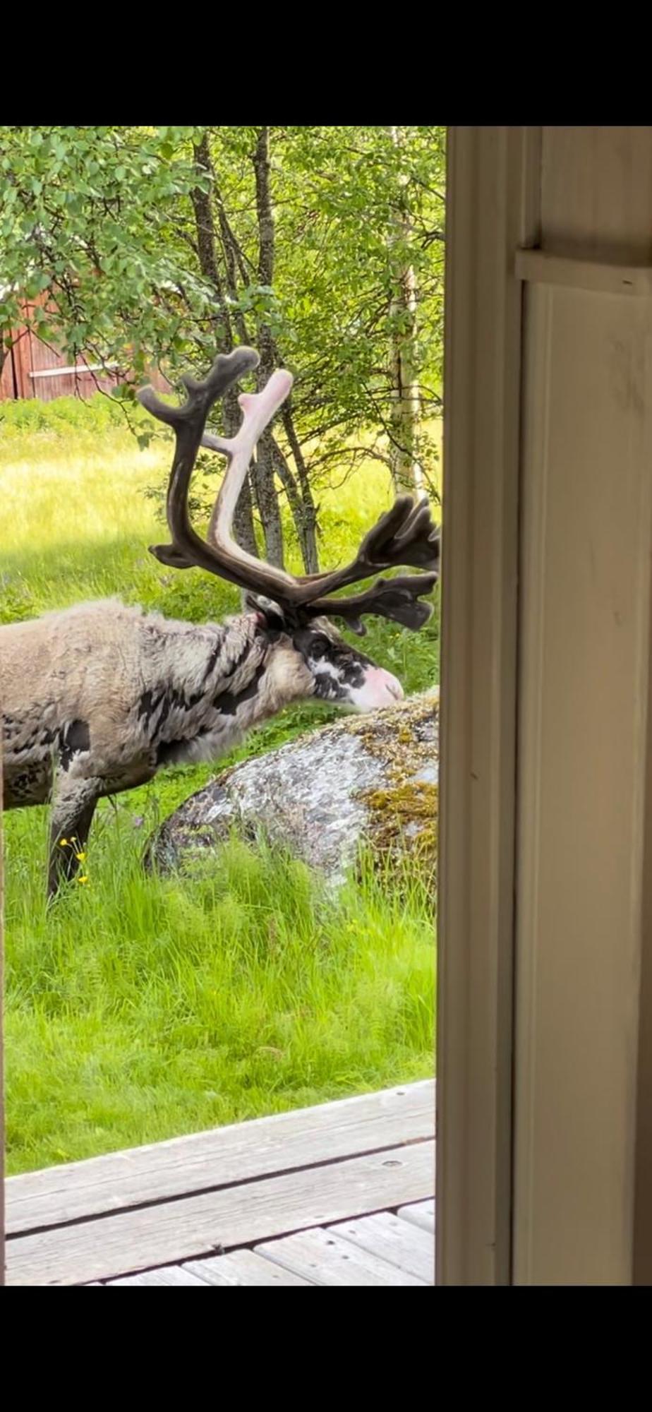Taenndalens Stugby Villa Bagian luar foto